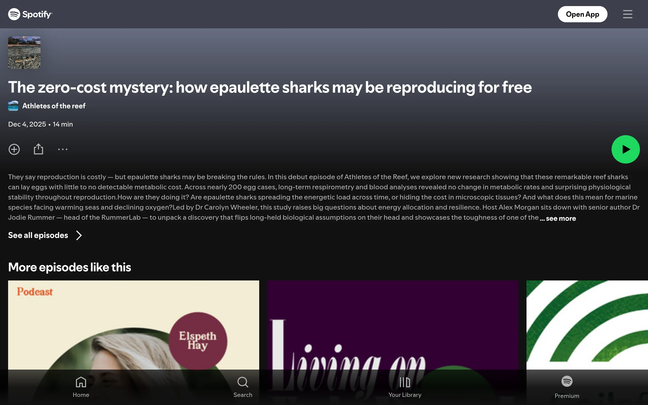 Link preview